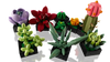 LEGO: Succulents