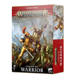 Age Of Sigmar: Warrior Warhammer